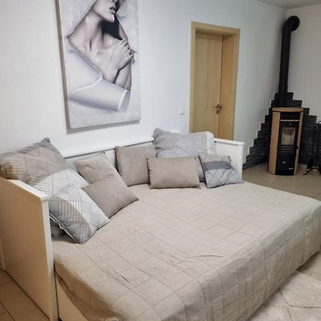 Appartment Im Untergeschoss 프라일라싱 외부 사진